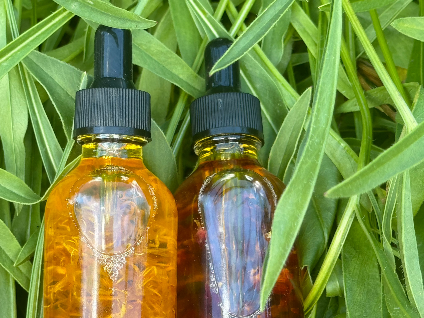 Face Oil Droppers